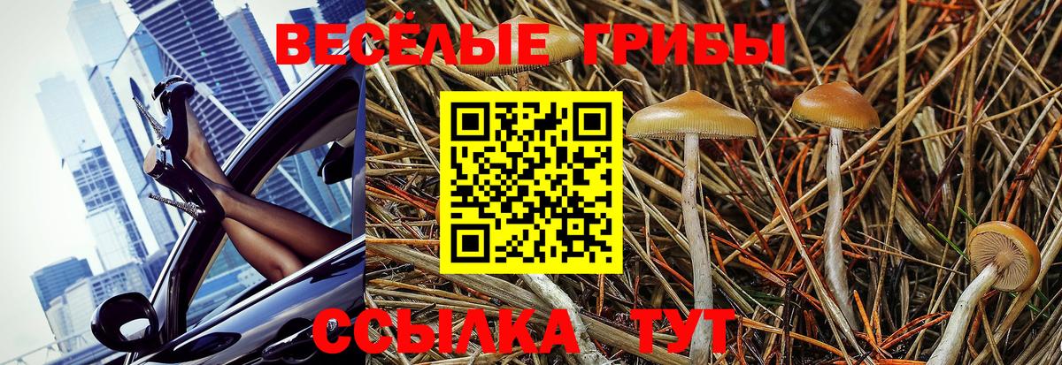 Галлюциногенные грибы ЛСД  Вход с VPN  Галлюциногенные грибы Magic Shrooms  Павлово 
